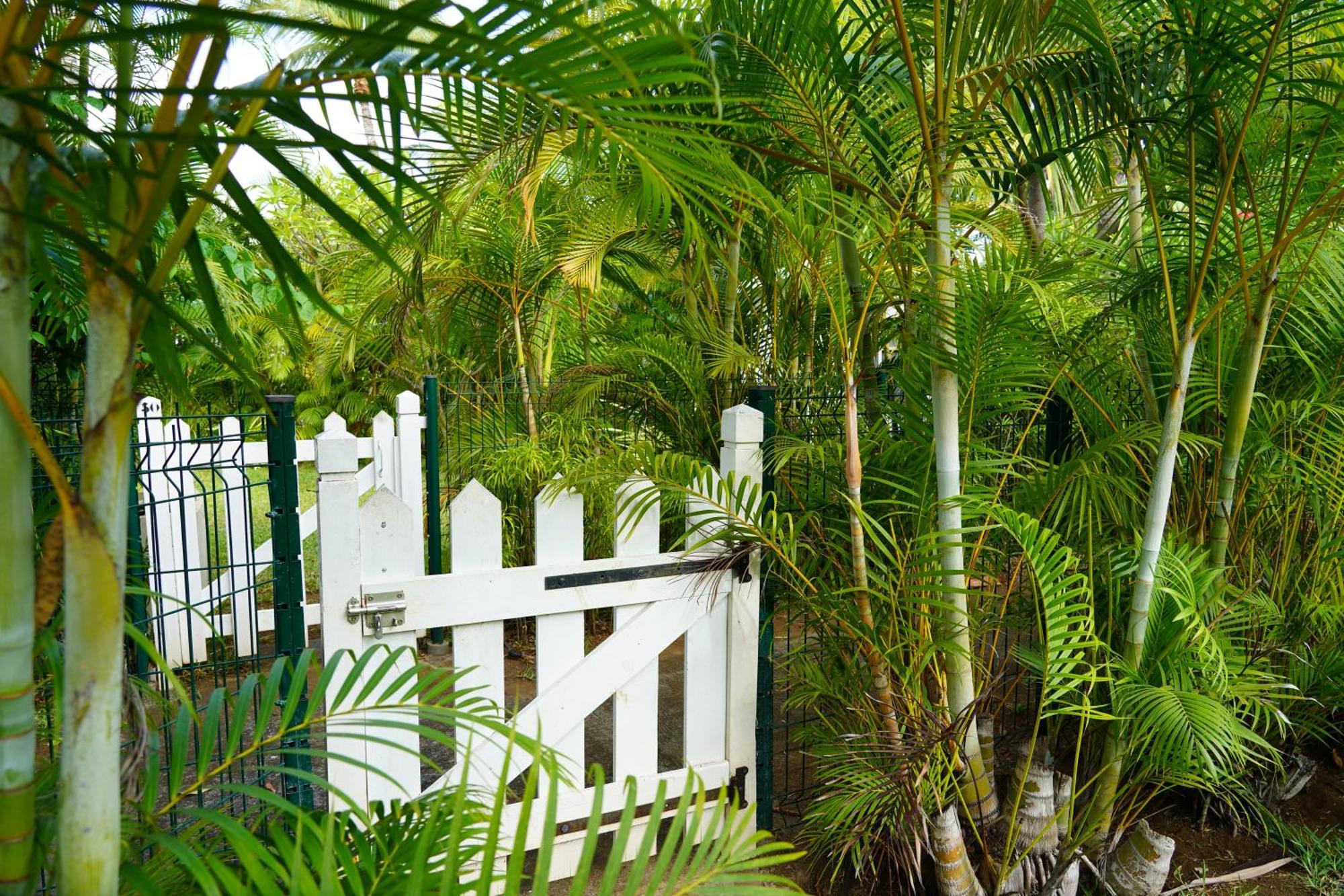 Dodo Coconut Lagon Ermitage Saint-Gilles-les-Bains Exterior foto